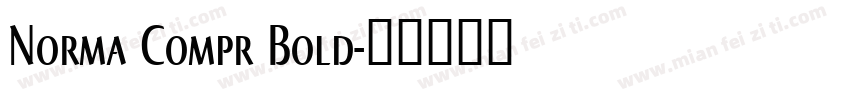 Norma Compr Bold字体转换